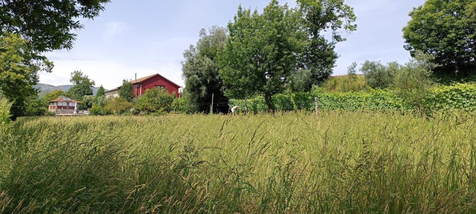 Casa Roupar By Geres Casas Villa Terras de Bouro Kültér fotó